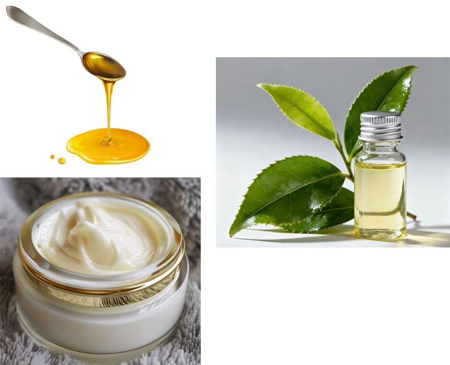 High viscosity sauce liquid filling machine，Single-head rotor pump filling machine,Paste filler machine