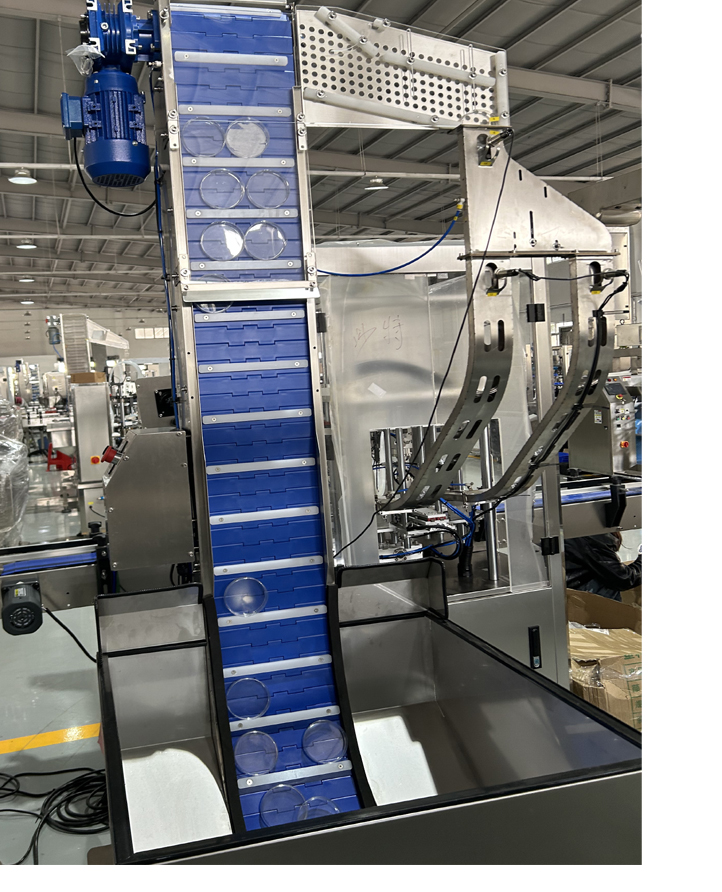 Double Head Servo Screw Capping Machine, Servo Gripping and Capping Machine FH-FCP002